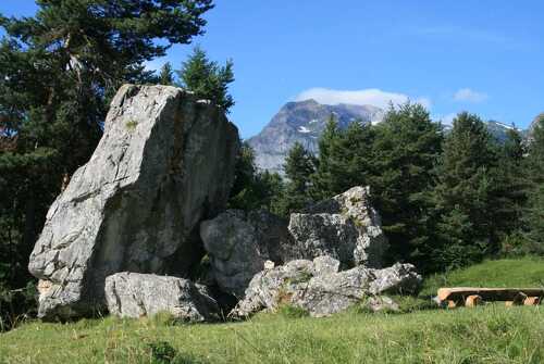 The Alpine Meadows of Arâches
