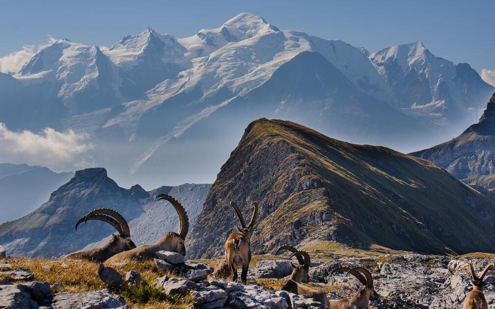 © De Platé-woestijn - OT Flaine-Candice Genard