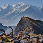 © De Platé-woestijn - OT Flaine-Candice Genard