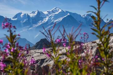 © De Platé-woestijn - OT Flaine-Candice Genard