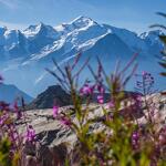 © De Platé-woestijn - OT Flaine-Candice Genard