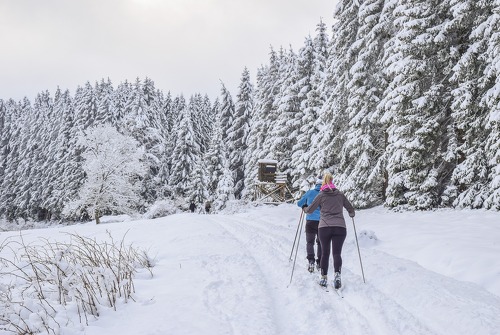 Nordic skiing discovery
