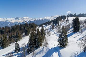 Cours de ski de fond