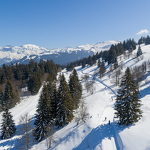 Cours de ski de fond