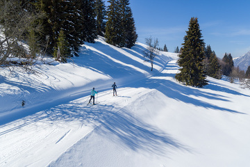 Cours de ski de fond