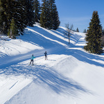 Cours de ski de fond