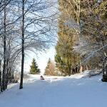 Boucle de la Pierre à Laya - sentier raquettes