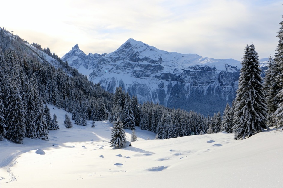 © Boucle des Molliets-loop n°8 - Les Carroz Flaine Espace Outdoor