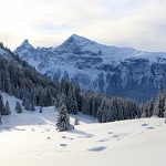 © Boucle des Molliets-loop n°8 - Les Carroz Flaine Espace Outdoor