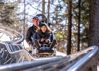 Luge LC-24-03-2019-076