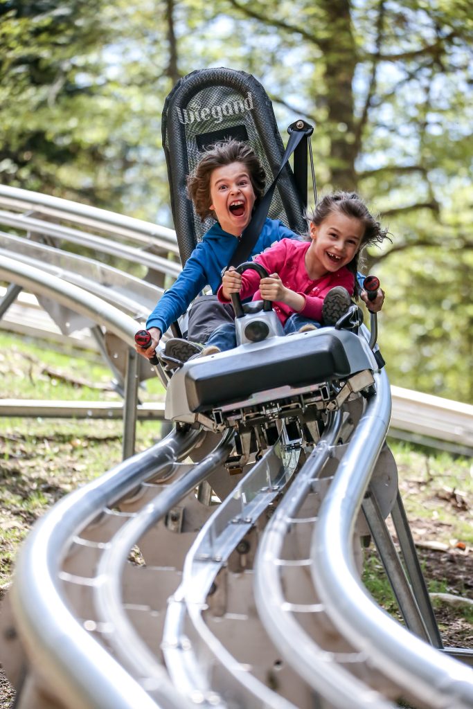 Alpine Coaster Les Carroz